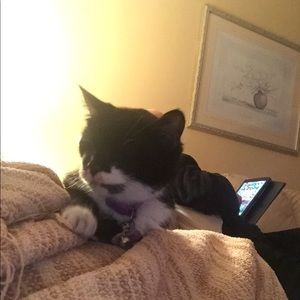 Meet your Posher, Nancy